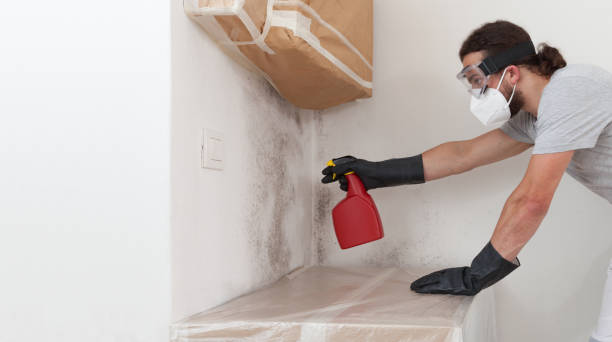 Professional Black Mold Removal technician working in Islandia, NY